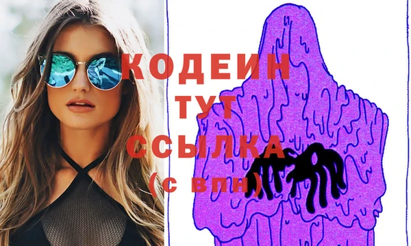 стаф Вязьма