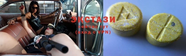 стаф Вязьма