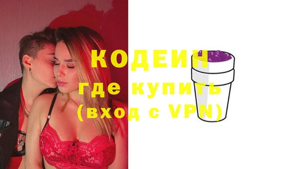 стаф Вязьма