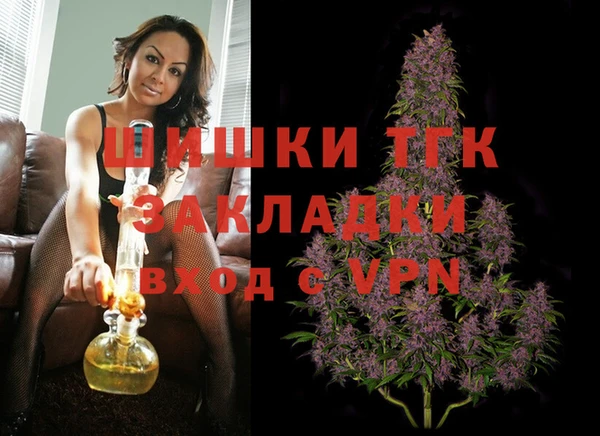 стаф Вязьма