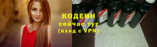 стаф Вязьма