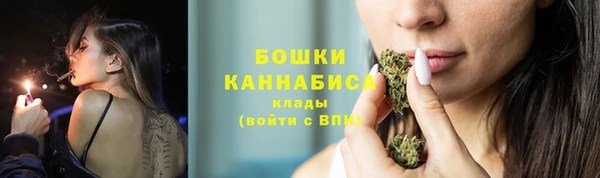 стаф Вязьма