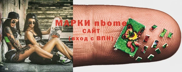стаф Вязьма