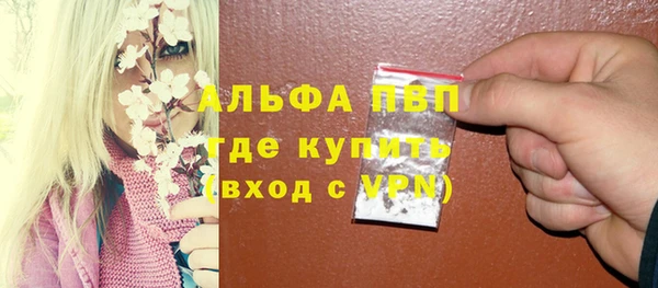 стаф Вязьма