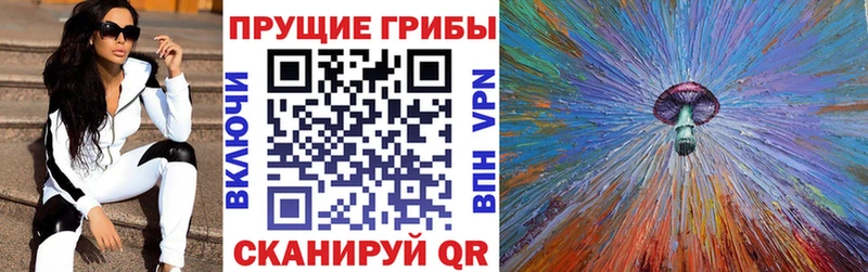 Галлюциногенные грибы прущие грибы  Купить закладки  Полесск 