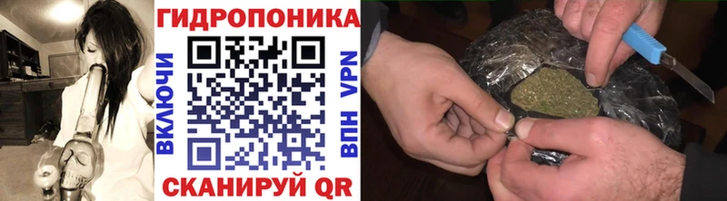 Бошки Шишки индика  Купить закладки  Полесск 